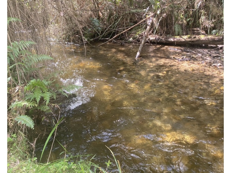 81 Falls Road, Marysville VIC 3779