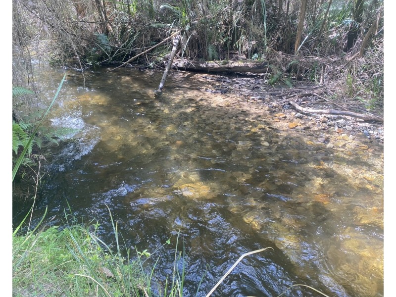 81 Falls Road, Marysville VIC 3779