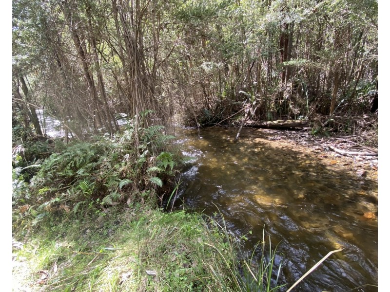 81 Falls Road, Marysville VIC 3779