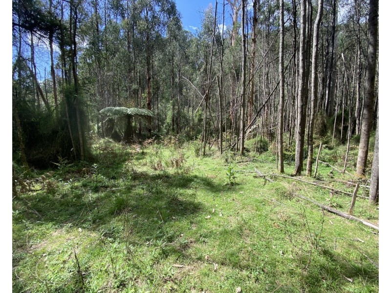 81 Falls Road, Marysville VIC 3779