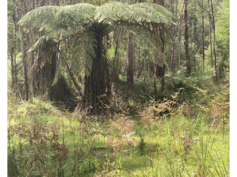 81 Falls Road, Marysville VIC 3779