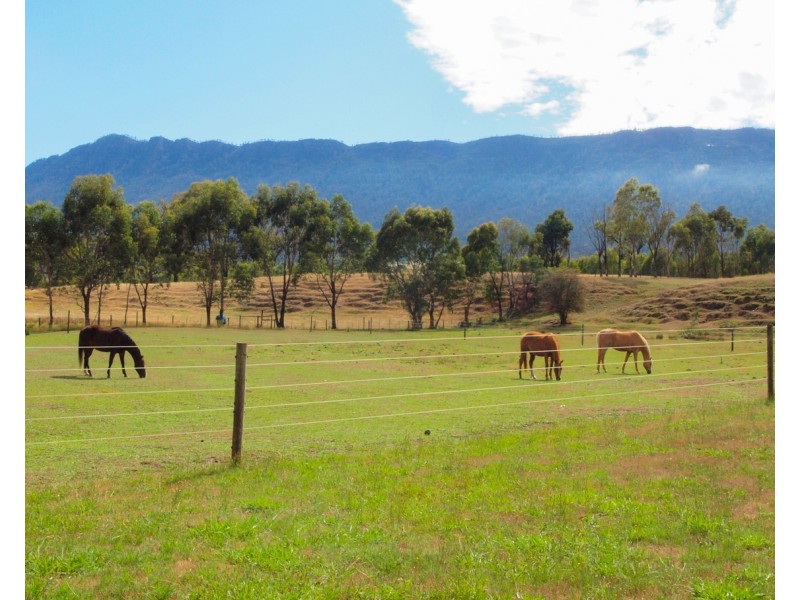 10 Cerberus Lane, Buxton VIC 3711