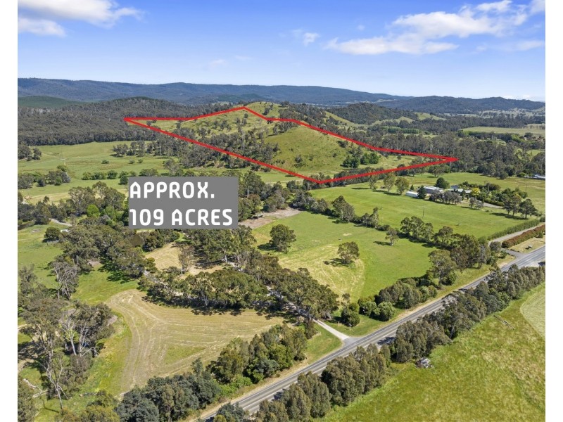 2561 Maroondah Highway, Buxton VIC 3711