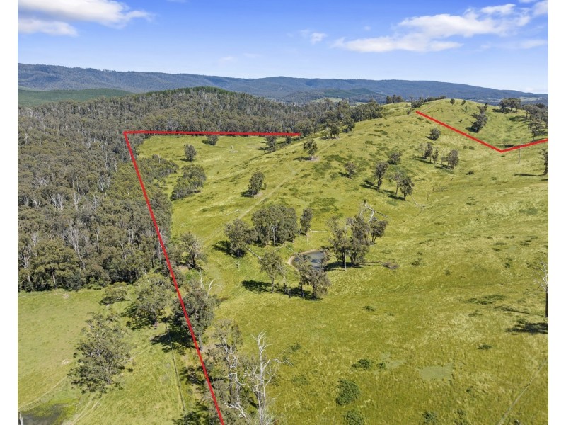 2561 Maroondah Highway, Buxton VIC 3711