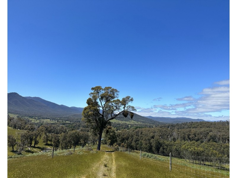 2561 Maroondah Highway, Buxton VIC 3711
