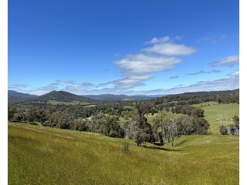 2561 Maroondah Highway, Buxton VIC 3711