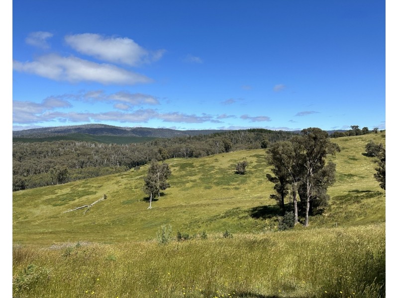 2561 Maroondah Highway, Buxton VIC 3711