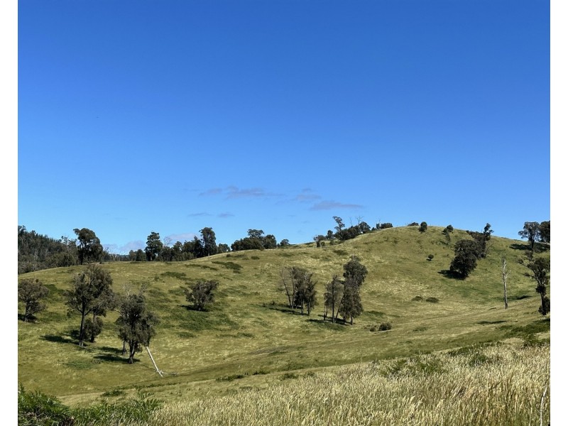 2561 Maroondah Highway, Buxton VIC 3711