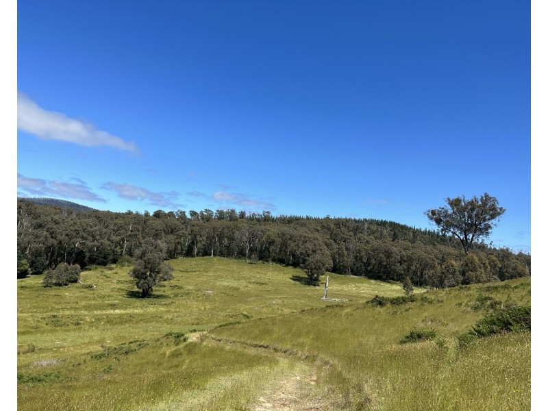 2561 Maroondah Highway, Buxton VIC 3711