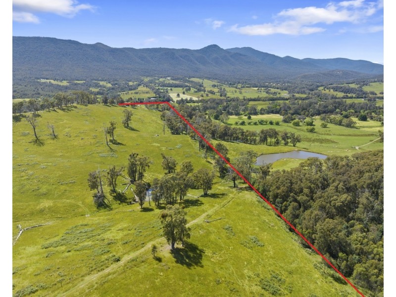 2561 Maroondah Highway, Buxton VIC 3711