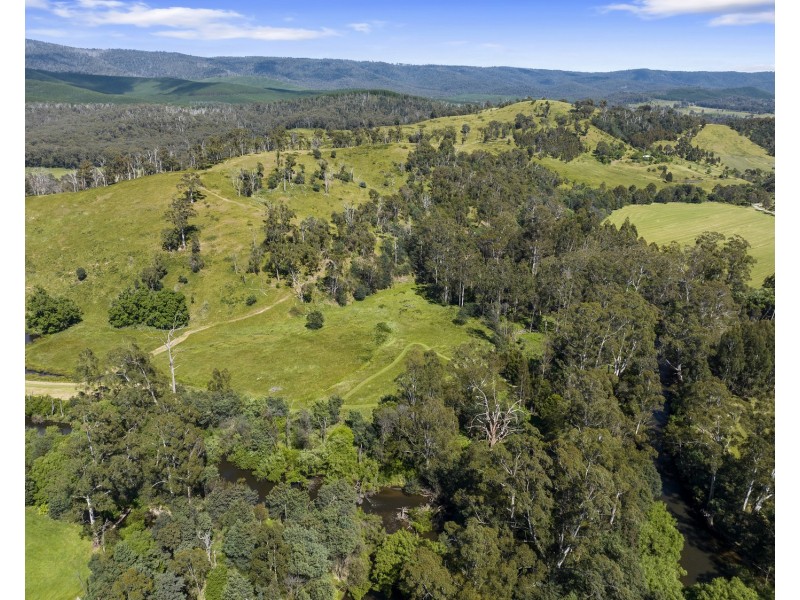 2561 Maroondah Highway, Buxton VIC 3711