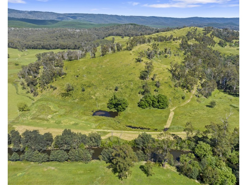 2561 Maroondah Highway, Buxton VIC 3711