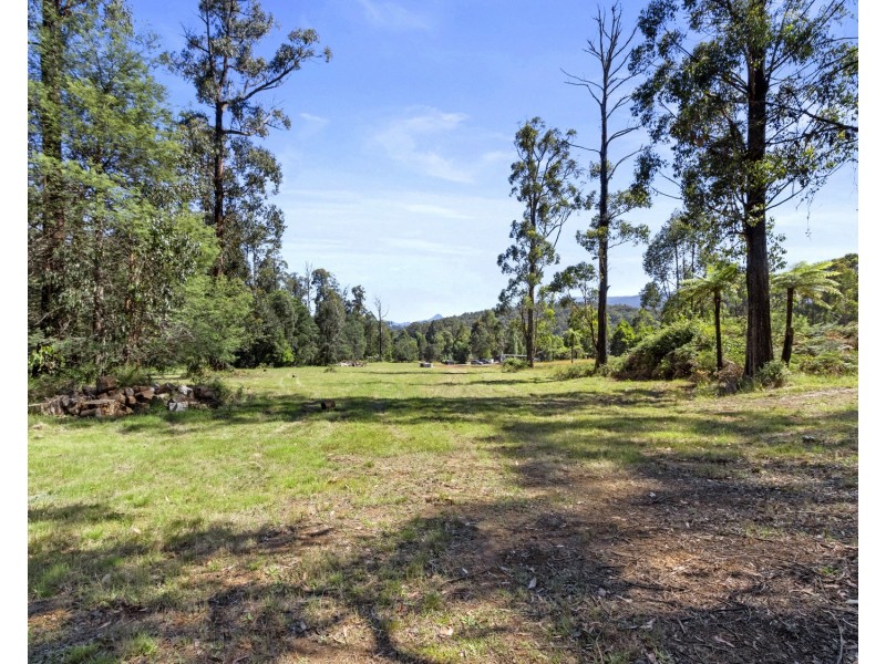 38 Kings Road, Marysville VIC 3779