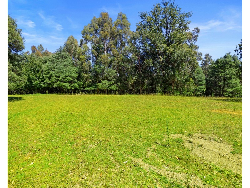 22 Woods Point Road, Marysville VIC 3779