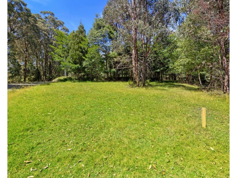 22 Woods Point Road, Marysville VIC 3779
