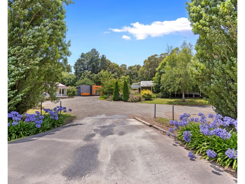 7 Buxton – Marysville Road, Buxton VIC 3711