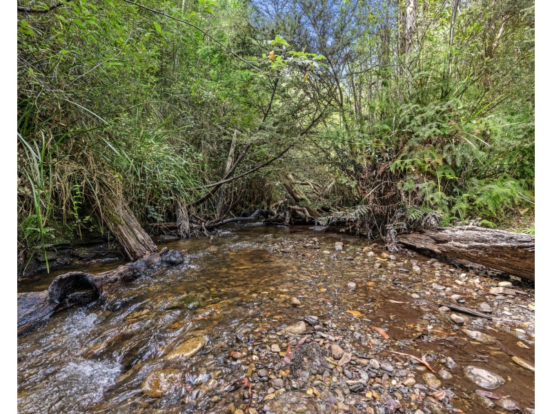 67 Falls Road, Marysville VIC 3779