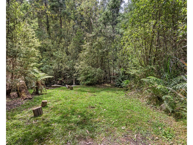 67 Falls Road, Marysville VIC 3779