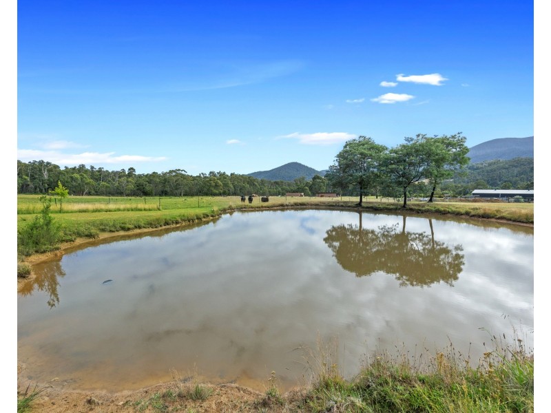 65 Retreat Road, Buxton VIC 3711