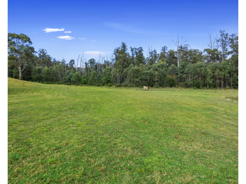 65 Retreat Road, Buxton VIC 3711