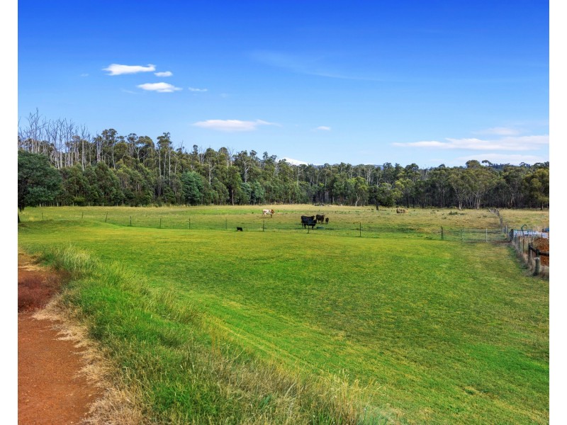 65 Retreat Road, Buxton VIC 3711