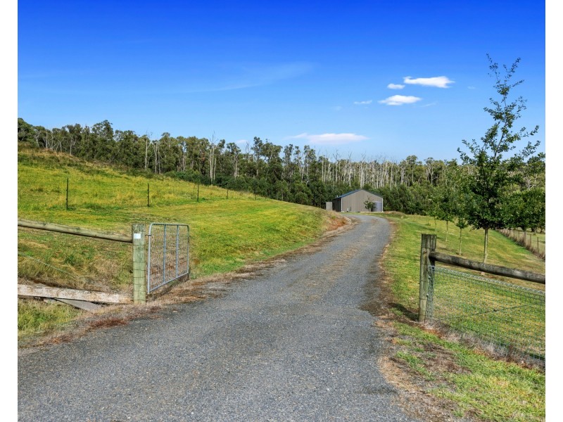 65 Retreat Road, Buxton VIC 3711