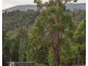 1/30 Kings Road, Marysville VIC 3779