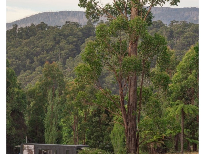1/30 Kings Road, Marysville VIC 3779