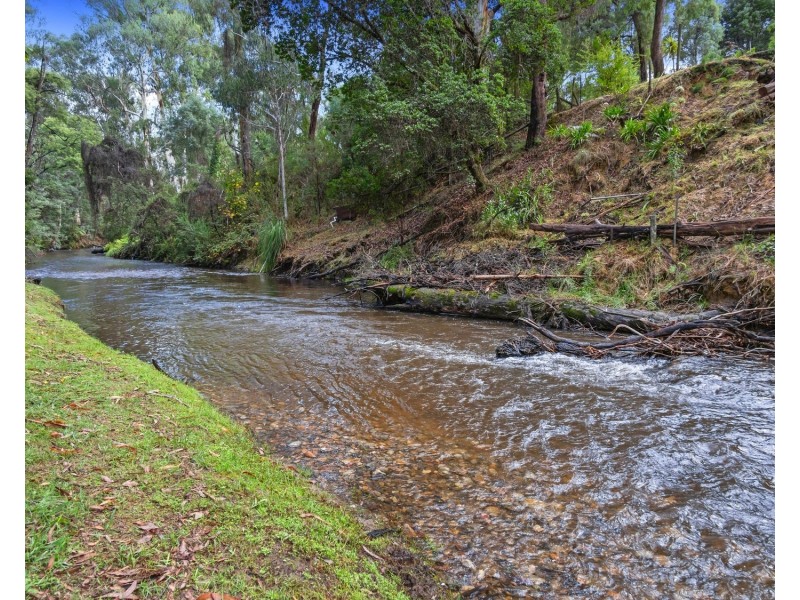 26 Mareeba Avenue, Buxton VIC 3711