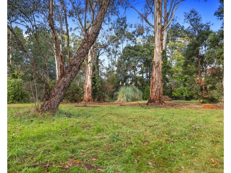 26 Mareeba Avenue, Buxton VIC 3711