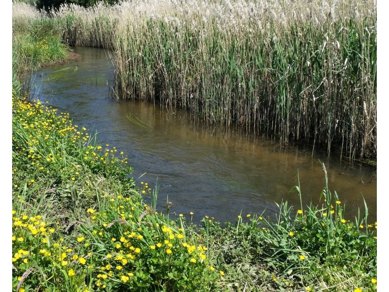 27 Waters Place, Buxton VIC 3711