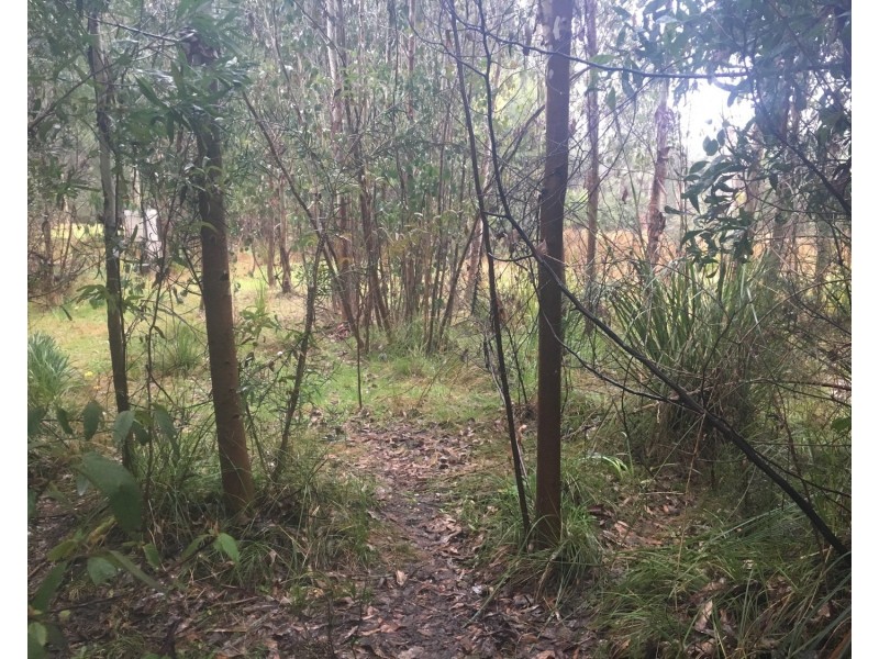 32 Aubrey Cuzens Drive, Marysville VIC 3779