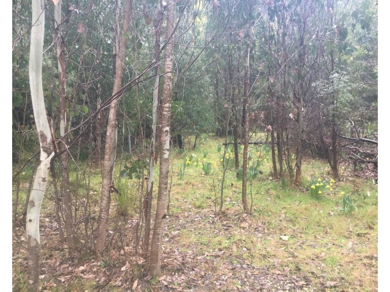 32 Aubrey Cuzens Drive, Marysville VIC 3779