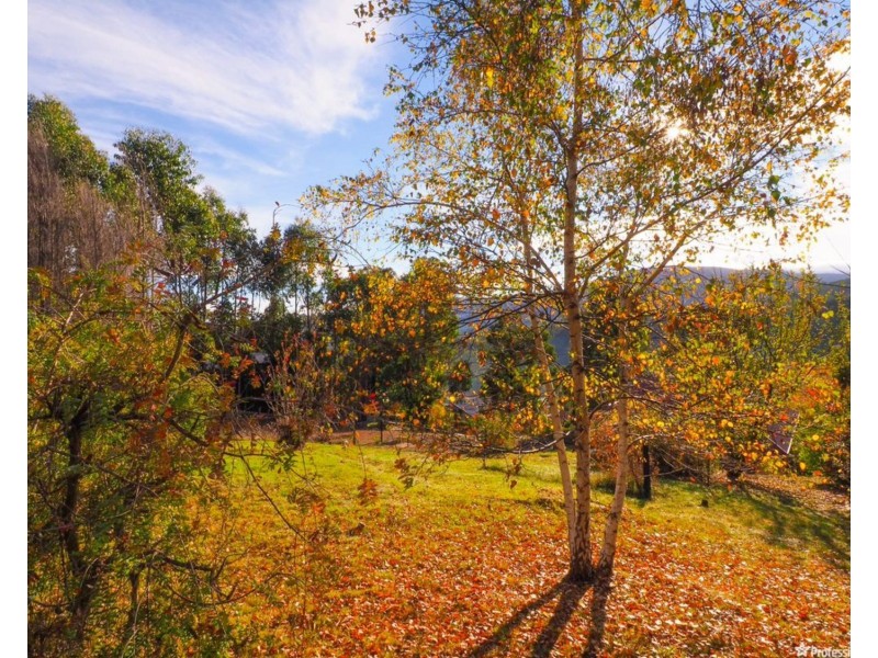 5 Allison Crescent, Marysville VIC 3779