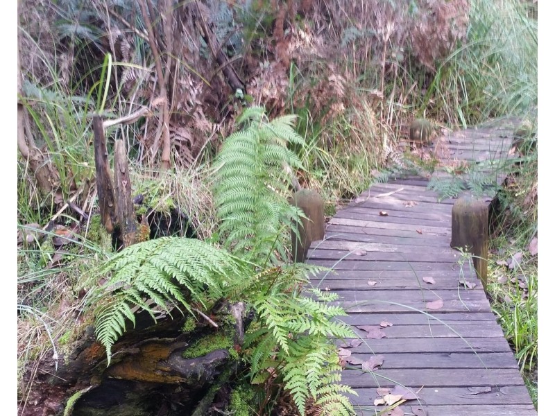 73 Falls Road, Marysville VIC 3779