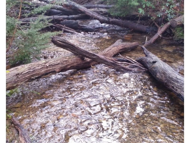 73 Falls Road, Marysville VIC 3779