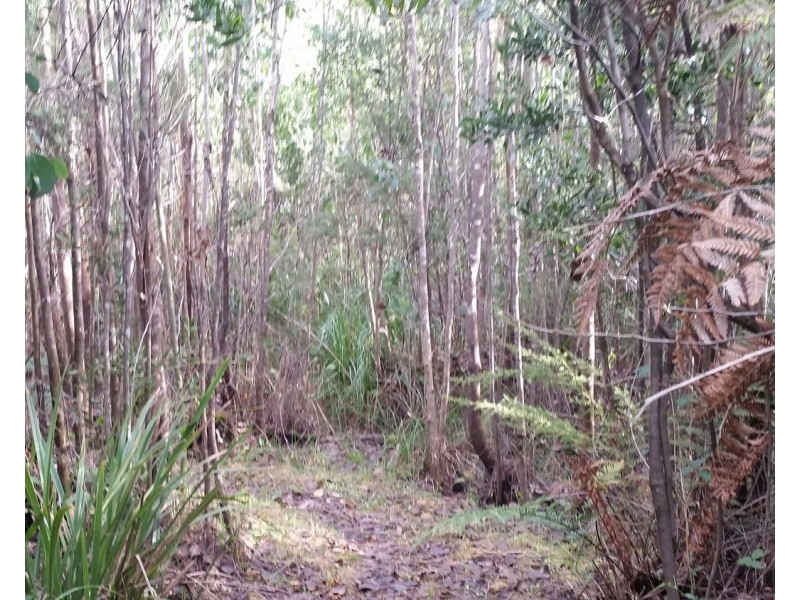 73 Falls Road, Marysville VIC 3779