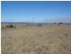Moffatdale QLD 4605