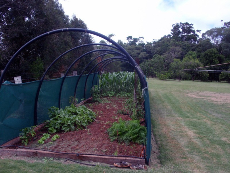 Wattle Grove QLD 4610