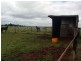 Wattle Grove QLD 4610