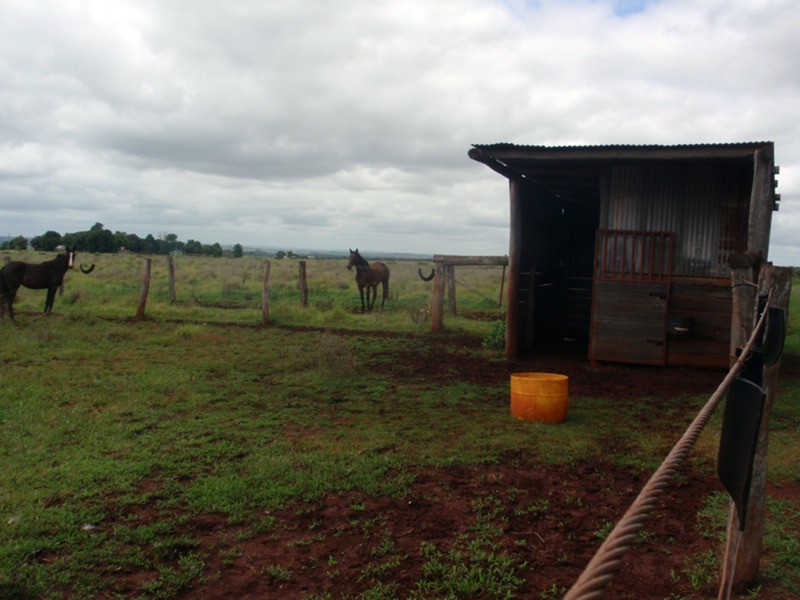 Wattle Grove QLD 4610