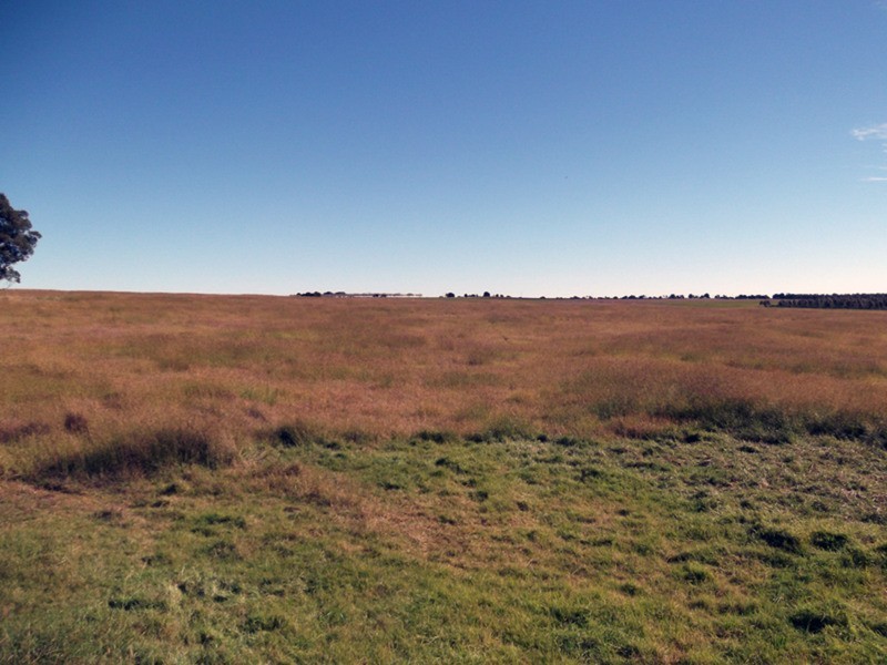 Wattle Grove QLD 4610