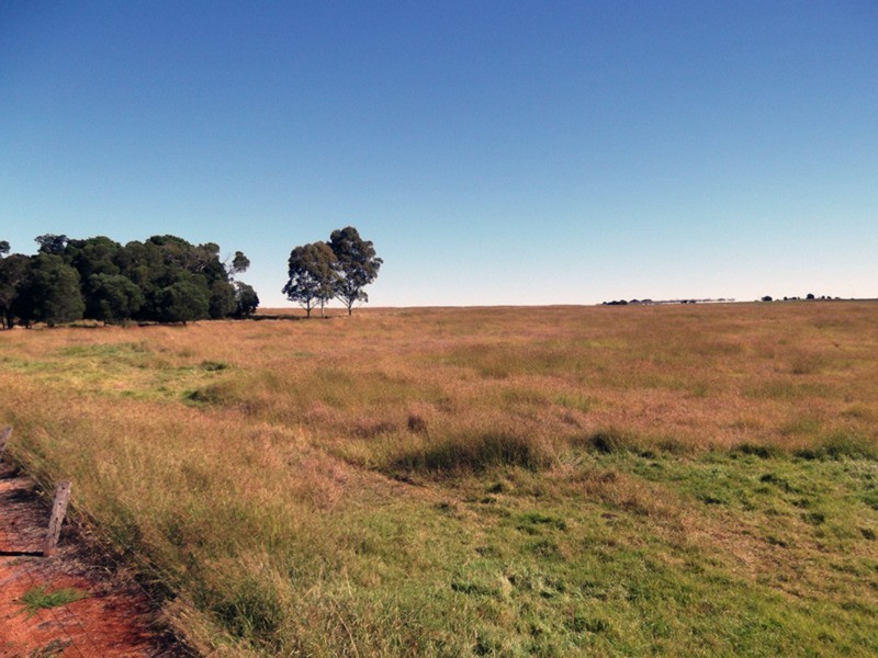 Wattle Grove QLD 4610
