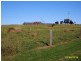 Wattle Grove QLD 4610