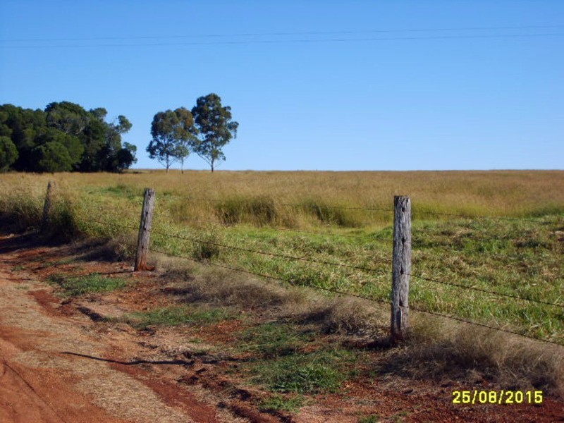 Wattle Grove QLD 4610
