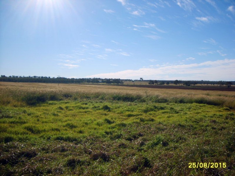 Wattle Grove QLD 4610