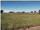 Wattle Grove QLD 4610