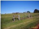 Wattle Grove QLD 4610