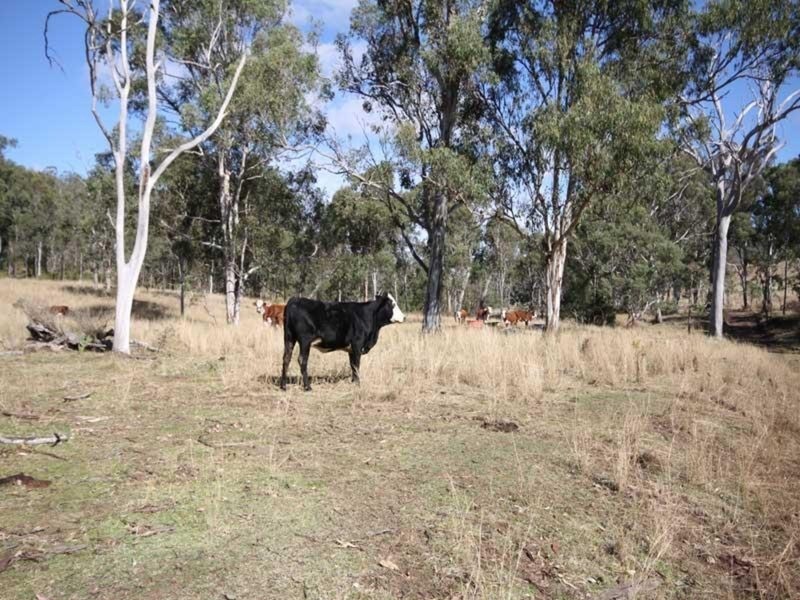 Wengenville QLD 4615