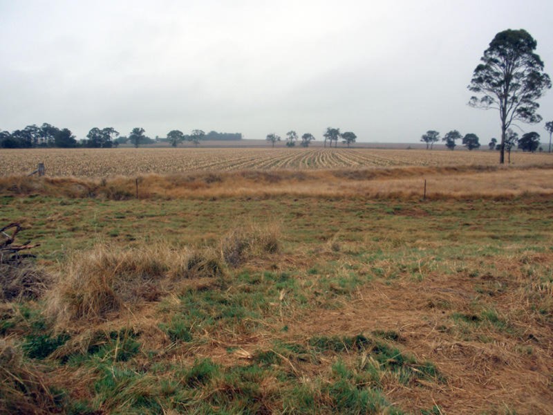 Wattle Grove QLD 4610